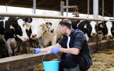 Le monde de l’agriculture s’intéresse au mentorat