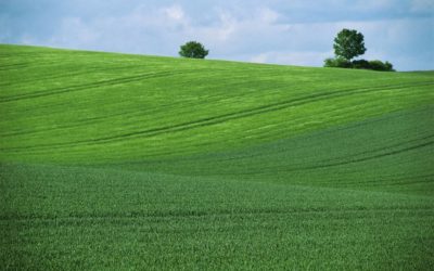 Le Mentorat : une solution pour valoriser les compétences des seniors dans le monde agricole